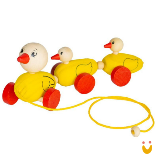 brinquedo-educativo-patinho-com-filhotes-ludopia